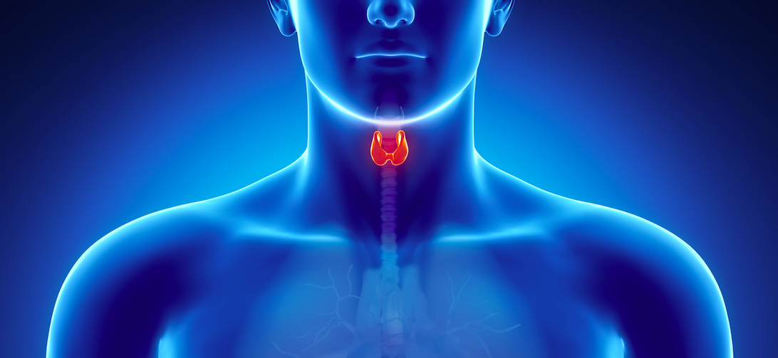 L' ipotiroidismo è una delle patologie tiroidee più frequenti.