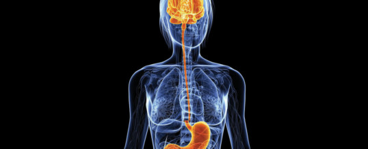 SISTEMA ENDOCRINO DIFFUSO