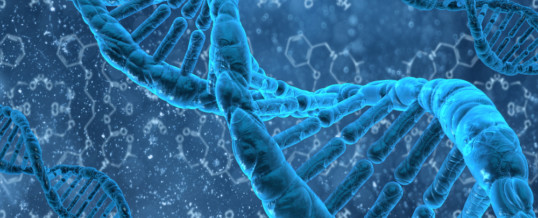 TEST DI GENETICA MOLECOLARE NEI NODULI TIROIDEI INDETERMINATI (TIR3)